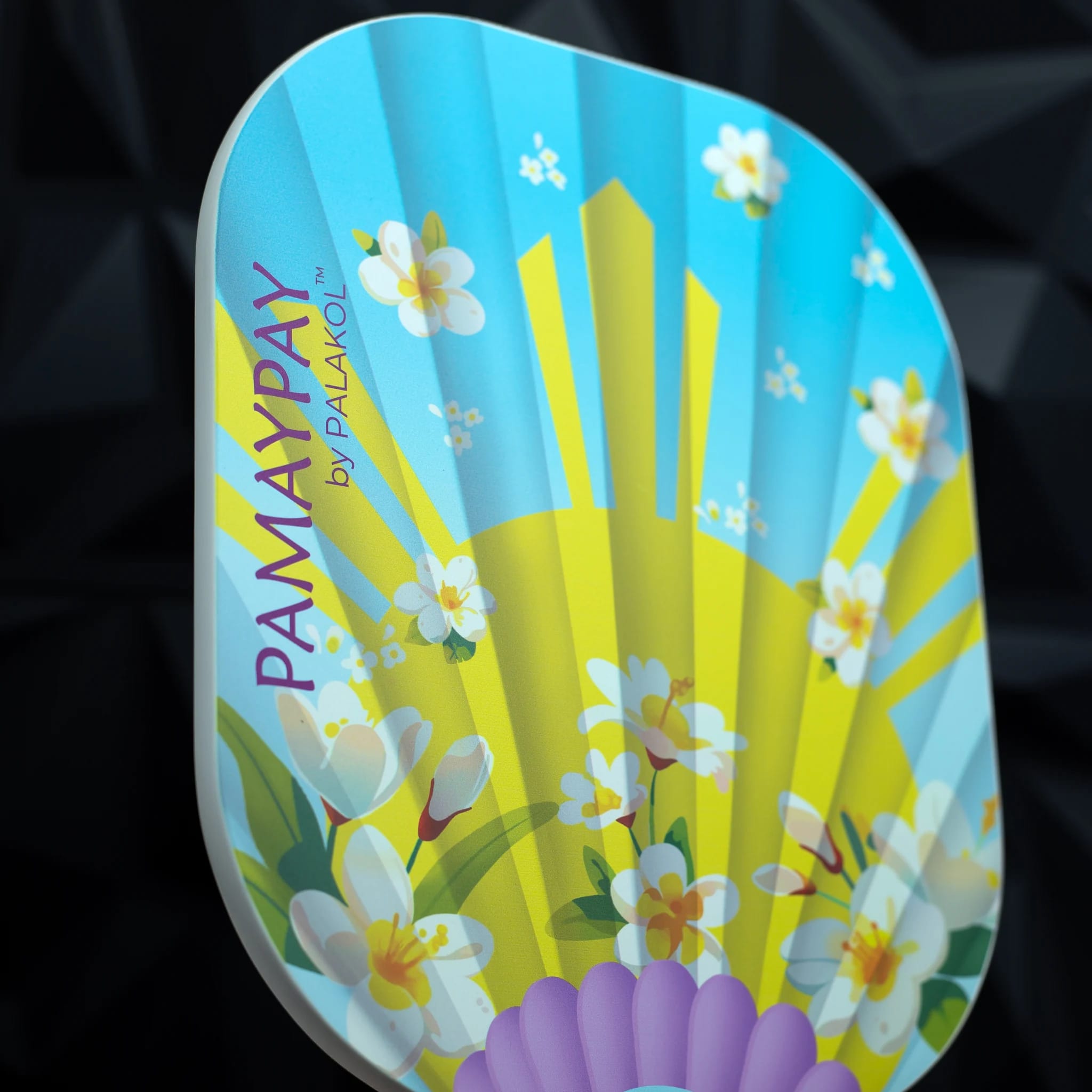 Pamaypay 2nd Edition view 2