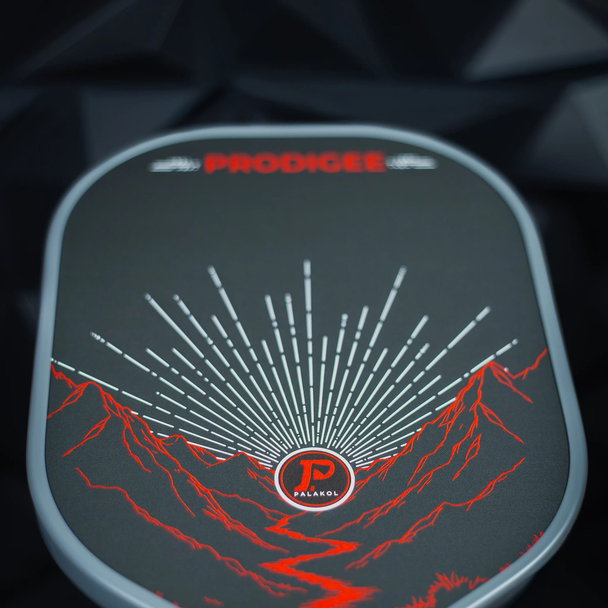 Prodigee in Gray